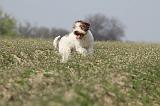 LAGOTTO 095